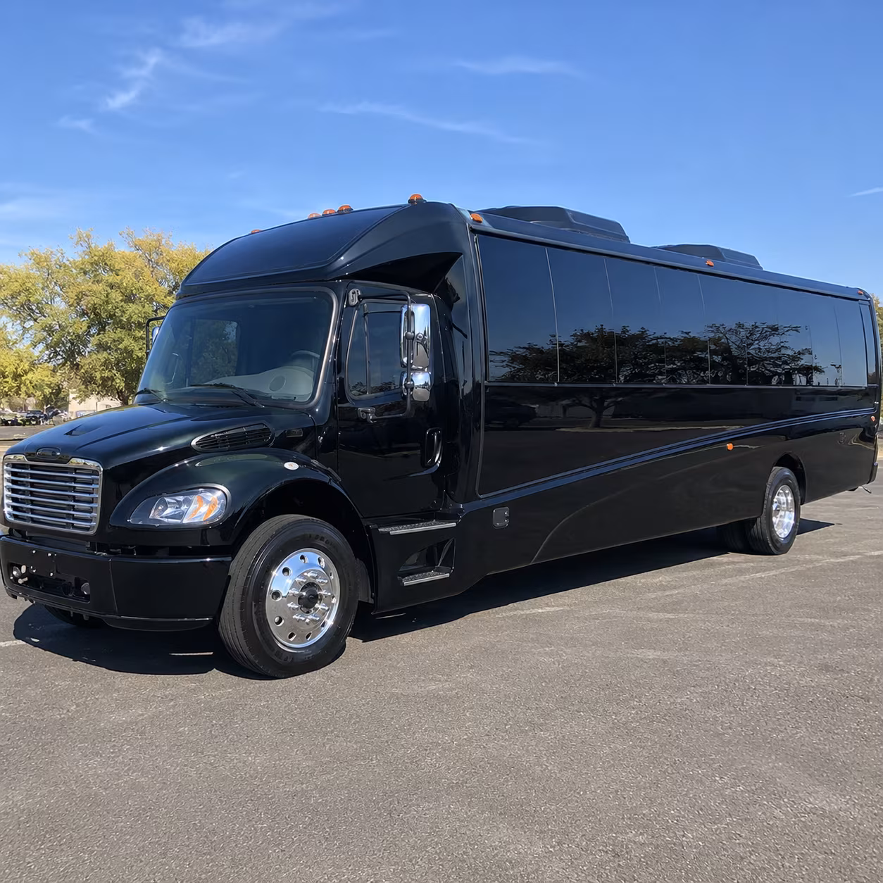 shelby 20 passenger minibus